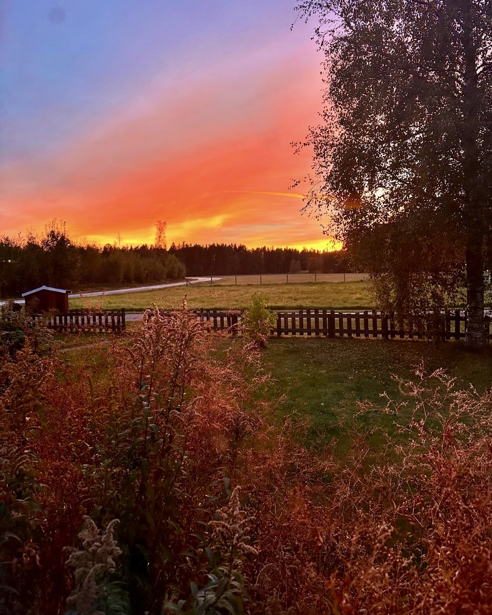 Autumn 
