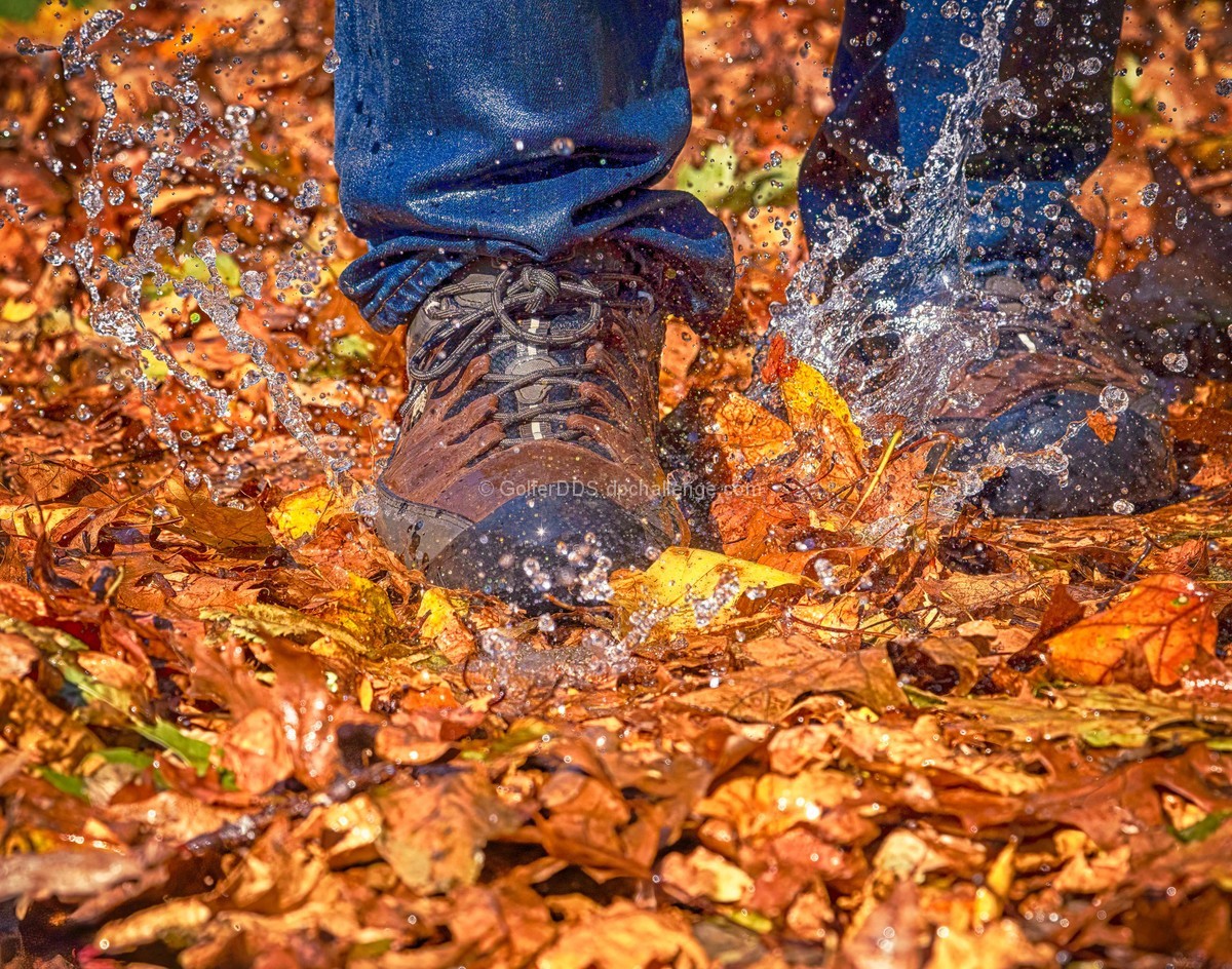 Puddle