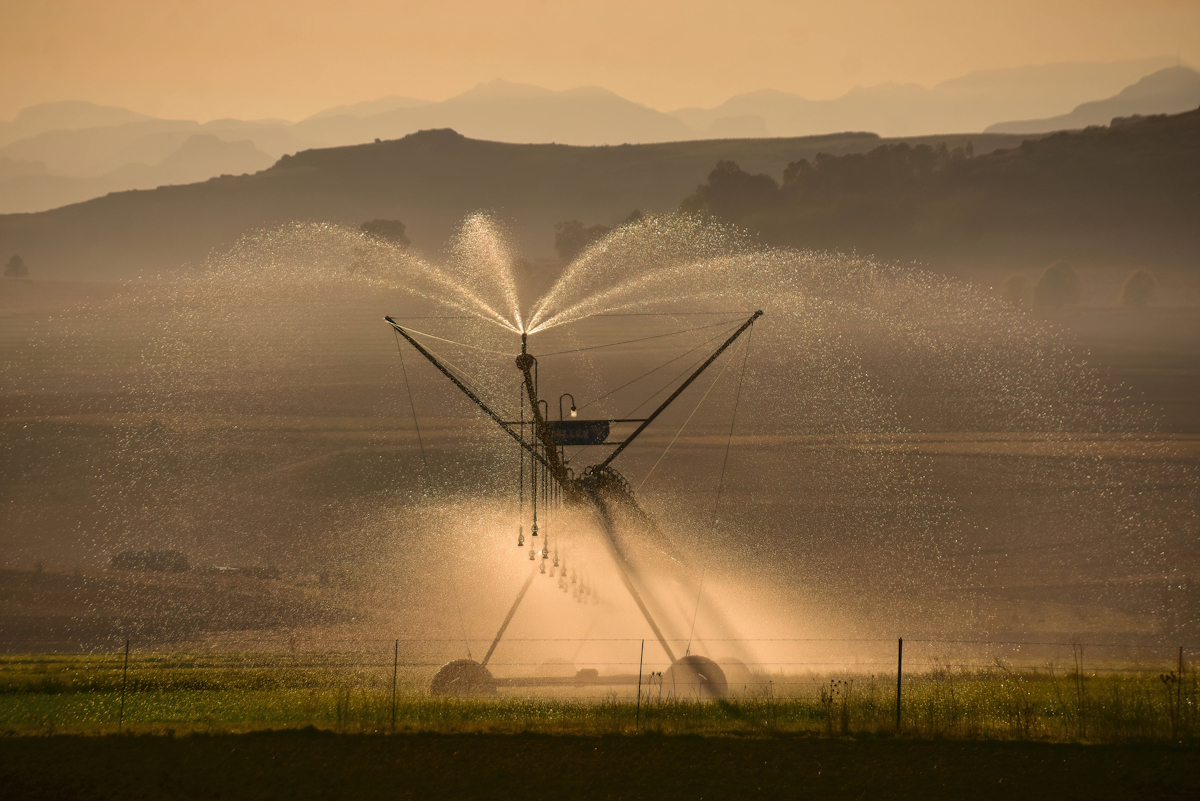 Irrigation 