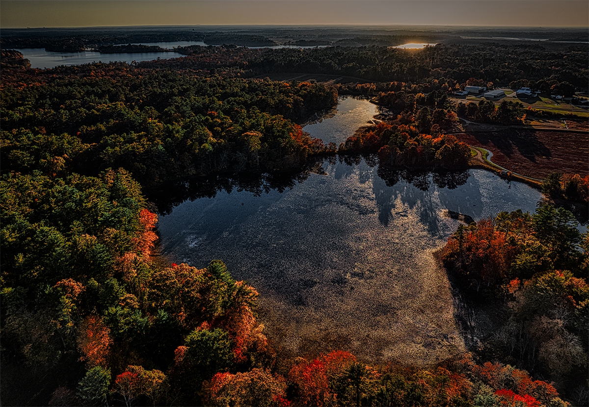 Pond in Autumn, Evening Light