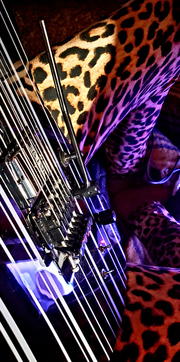Floyd Rose