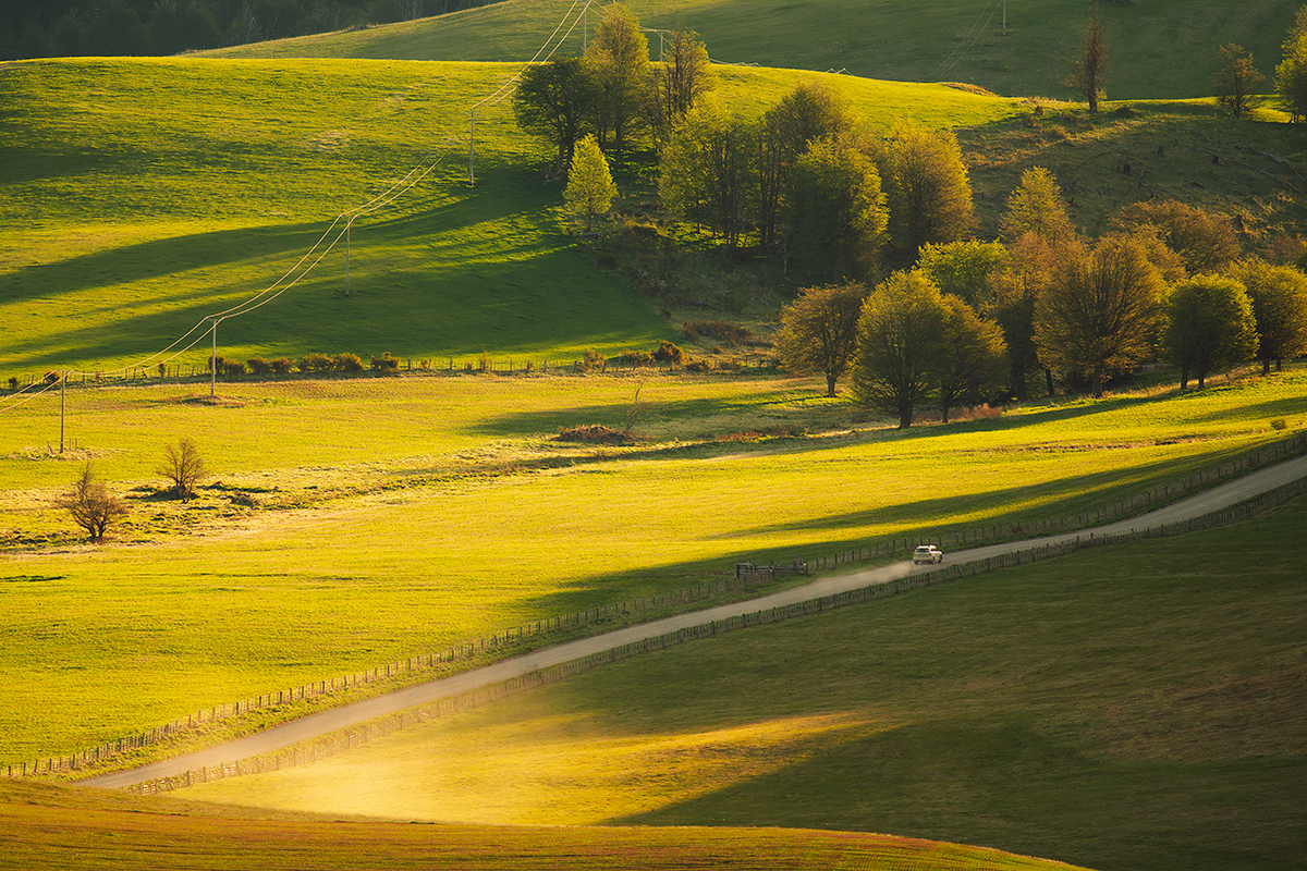 The Road Home