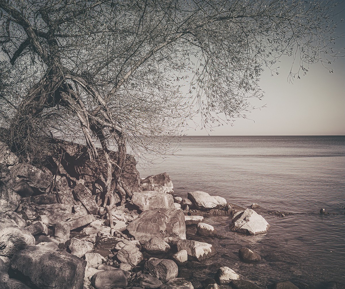 Gnarled and Bent