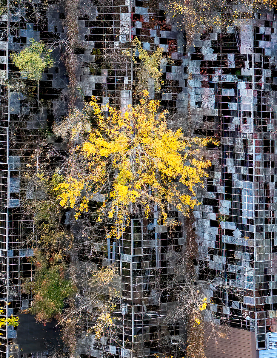 Dilapidated Greenhouse Roof