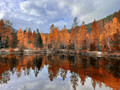 Fall Reflections