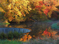 Along the Pawcatuck River