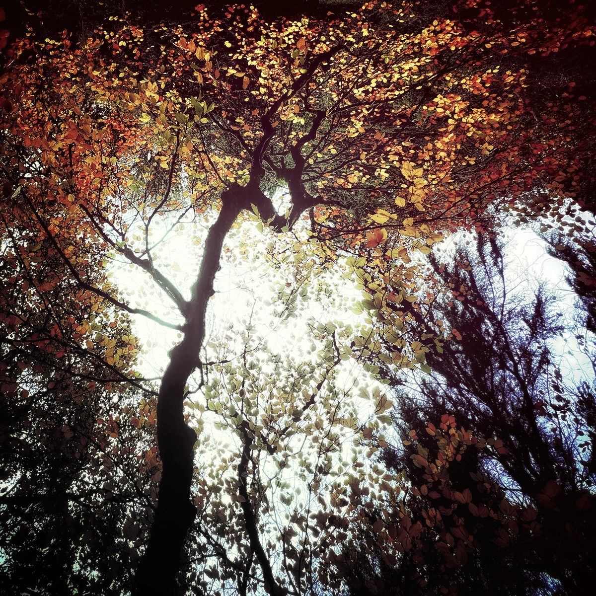 Fall down