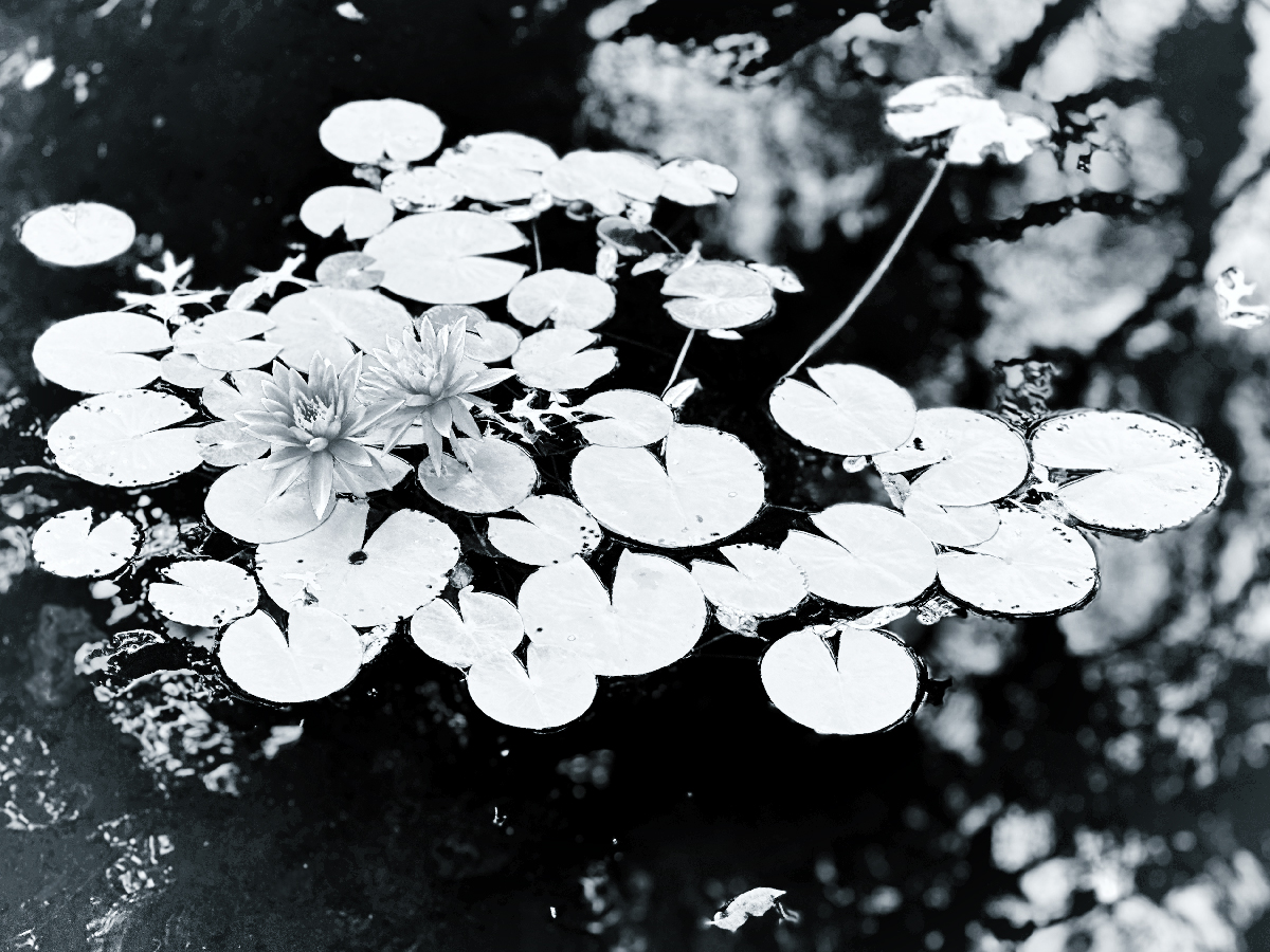 floating flora