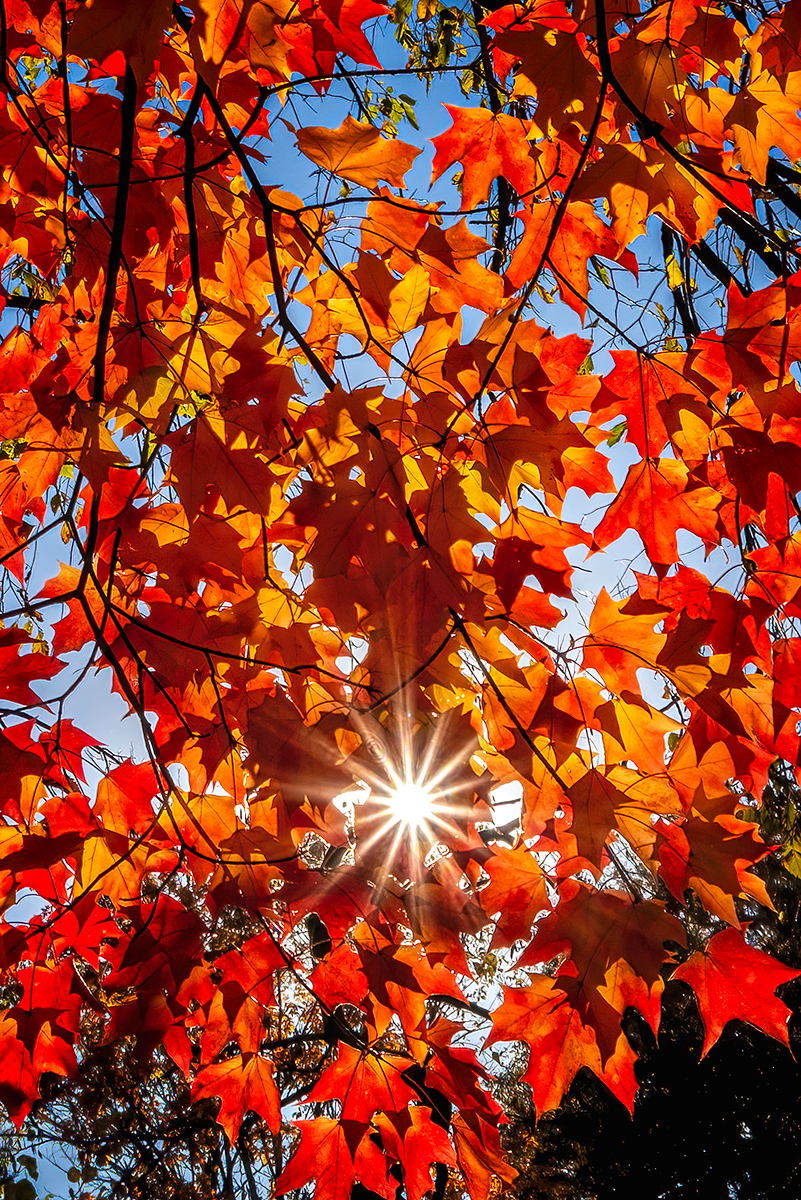 Crisp Fall Morning