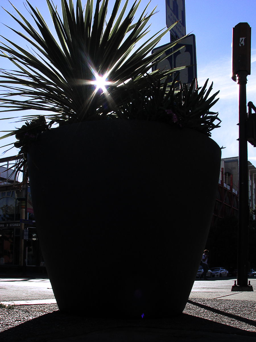 Streetcorner Planter