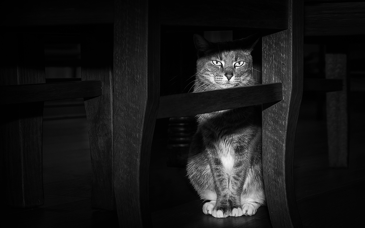 her safe place