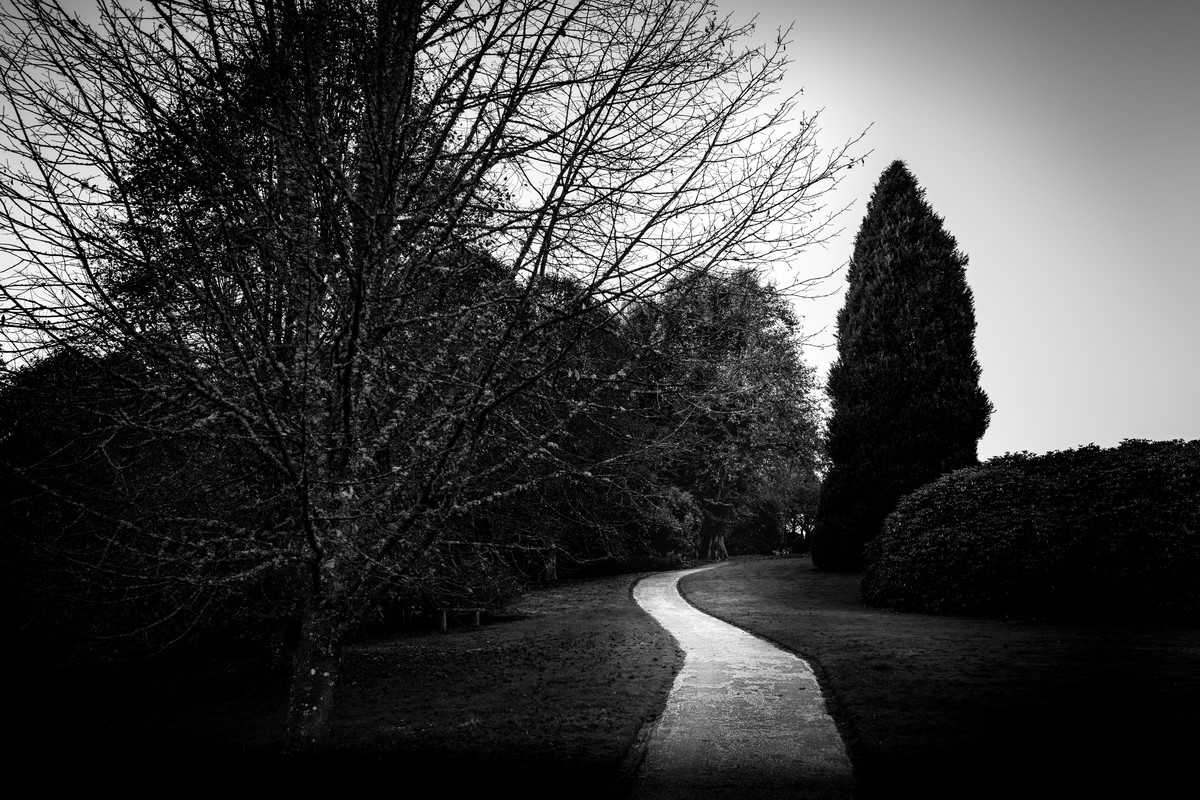 narrow uphil path-just like life is