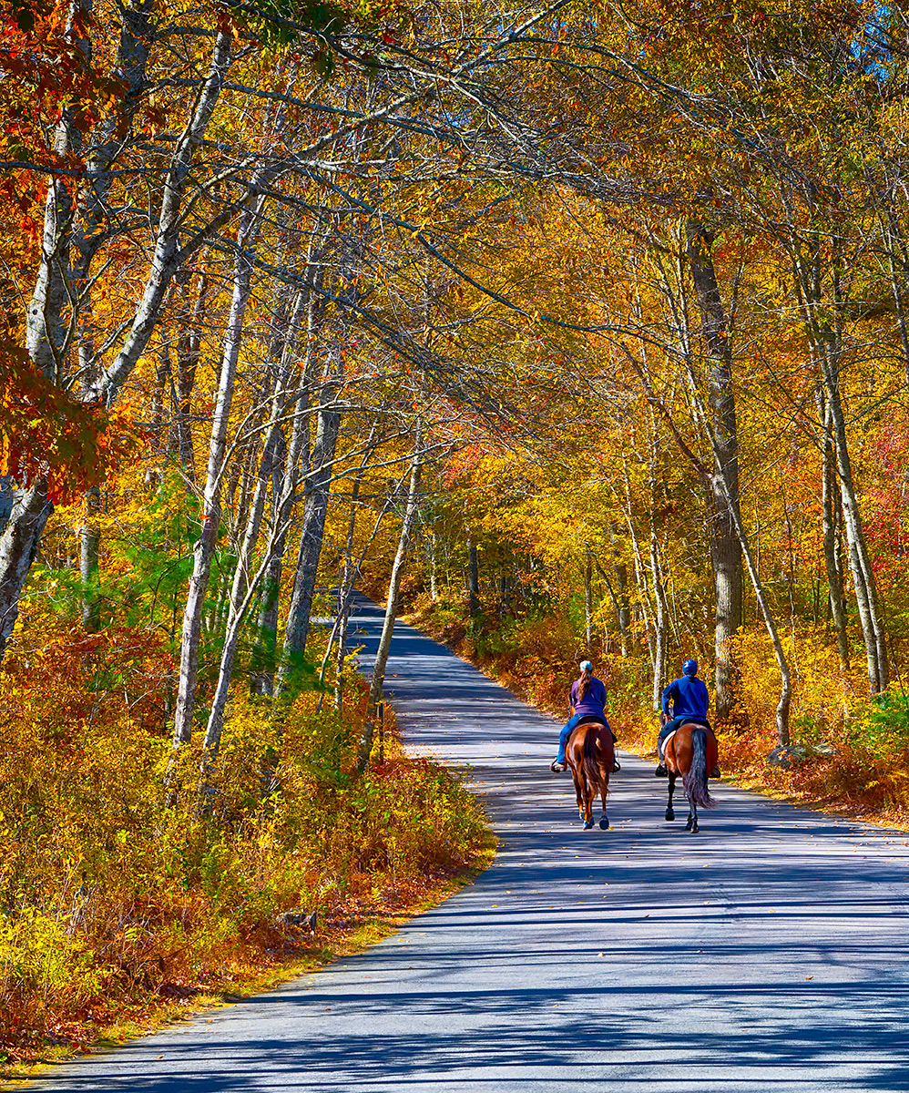 Autumn on the backroads 