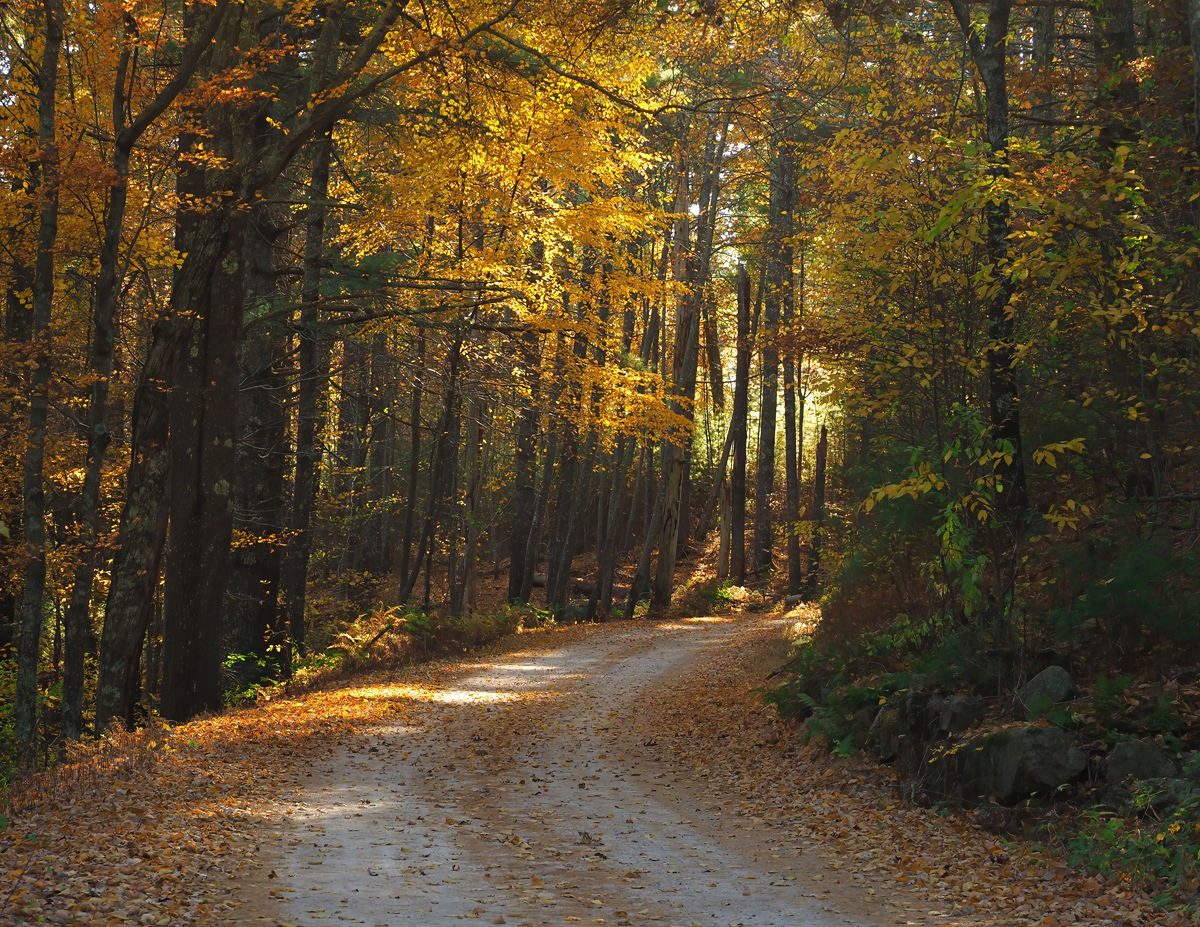 Hicks Trail