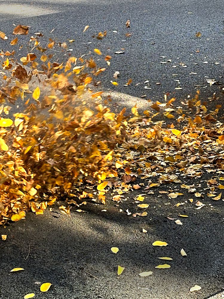October-day