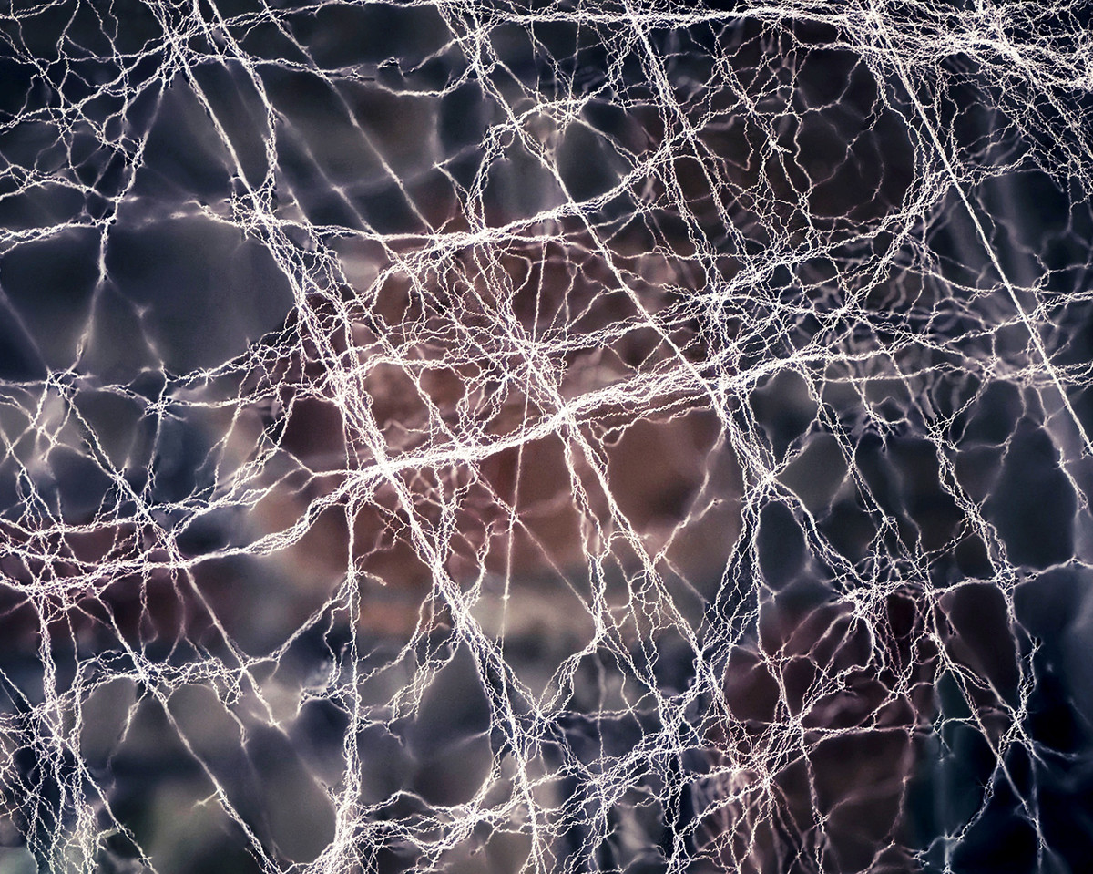 entwined