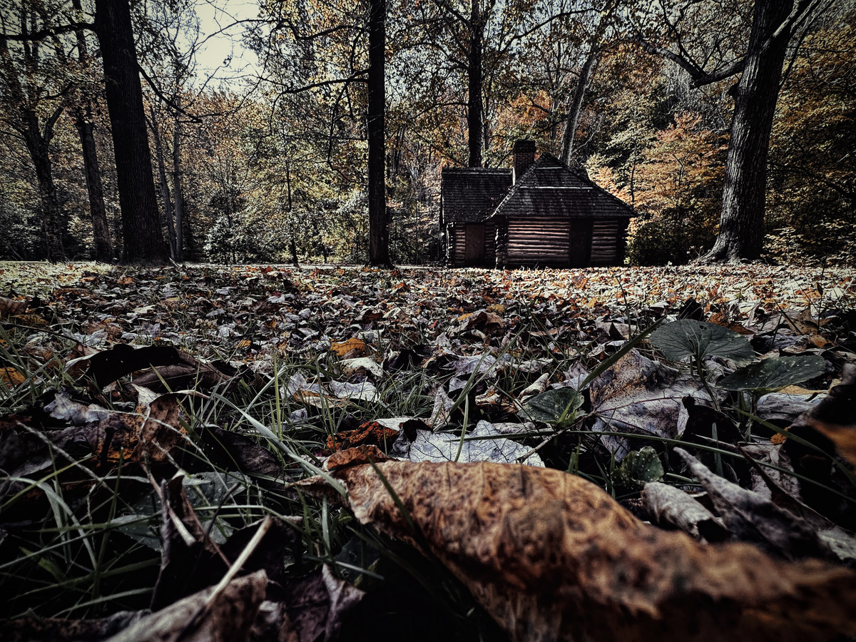 The Cabin in the Woods