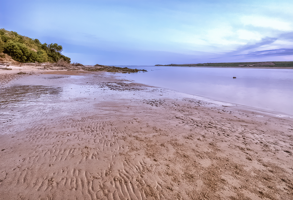 Low Tide