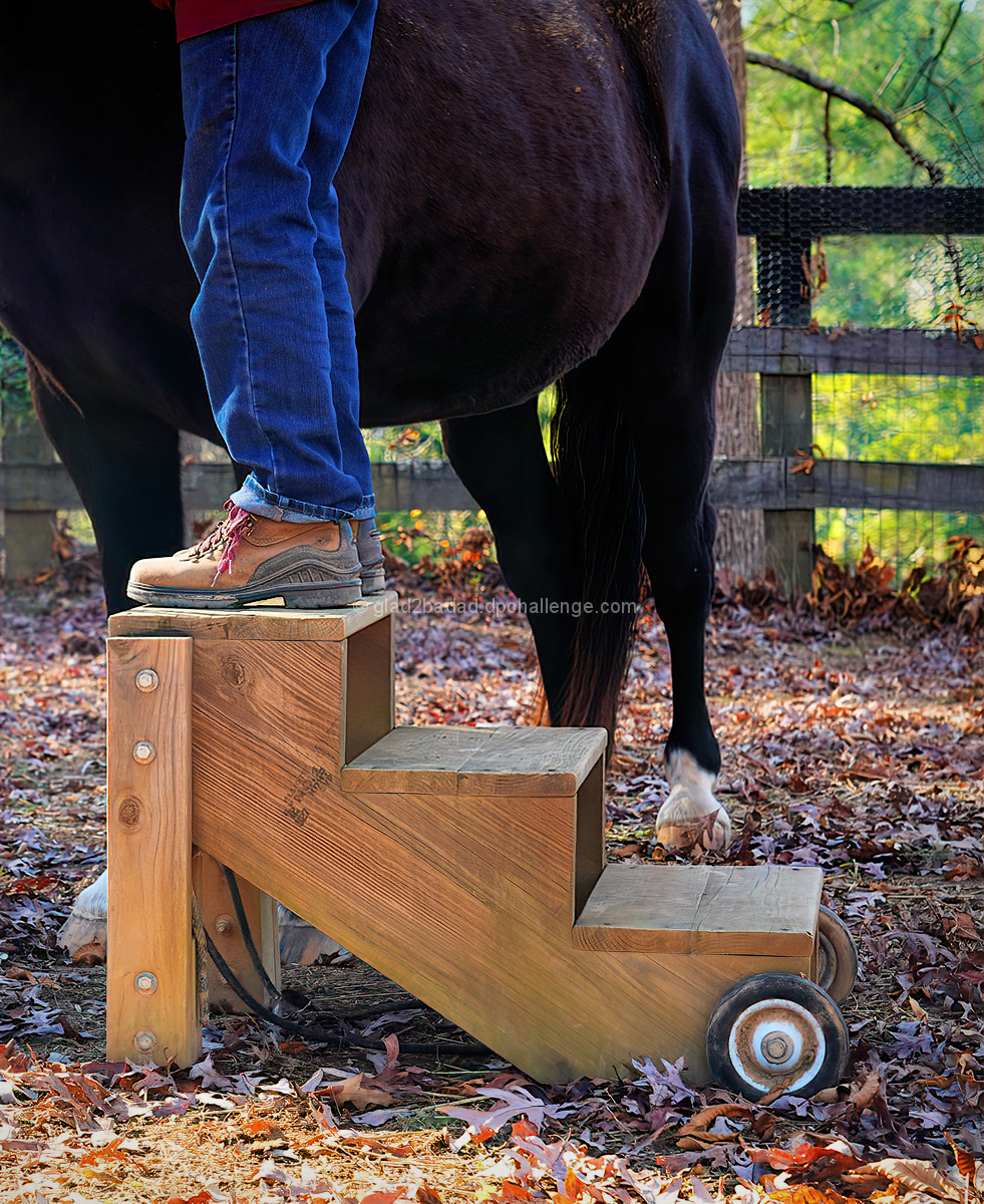 when you need a little leg up