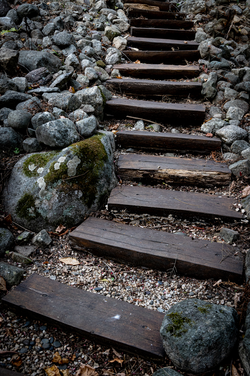 Step By Step