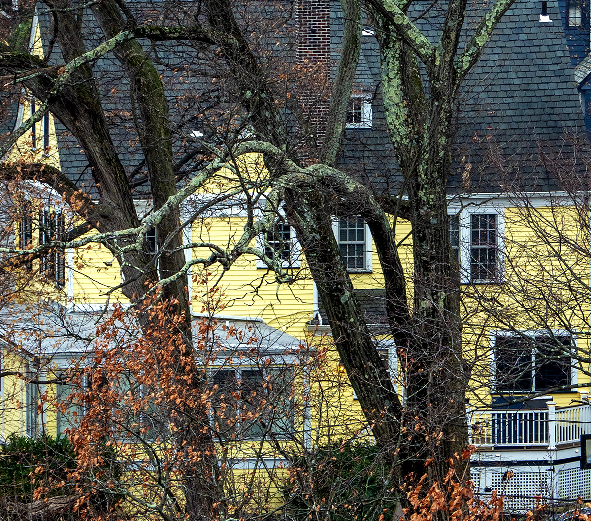the yellow house