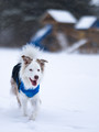 Winter Playground