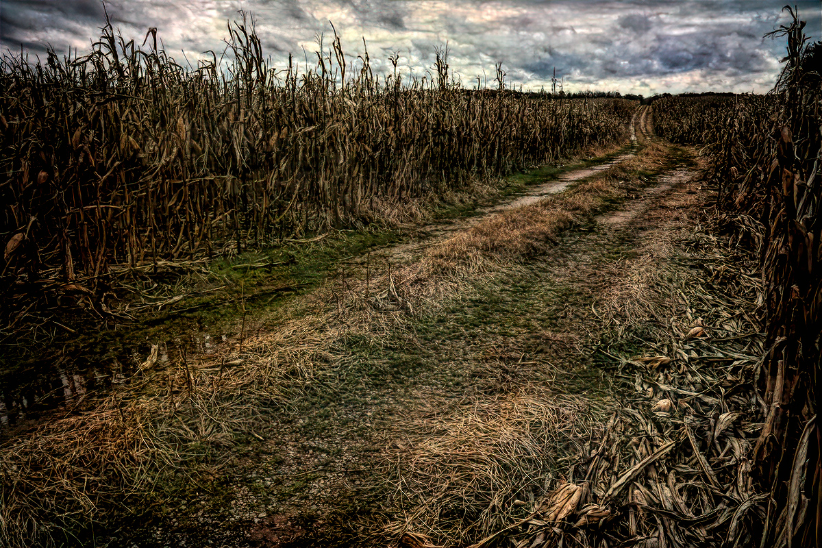 long row to hoe