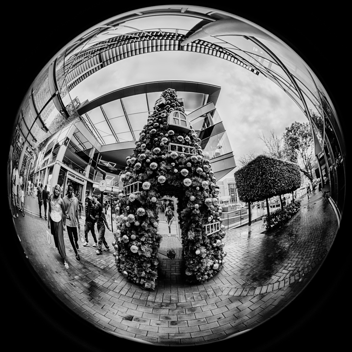 Christmas Tree