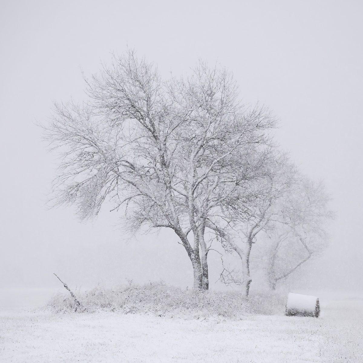 First snowfall