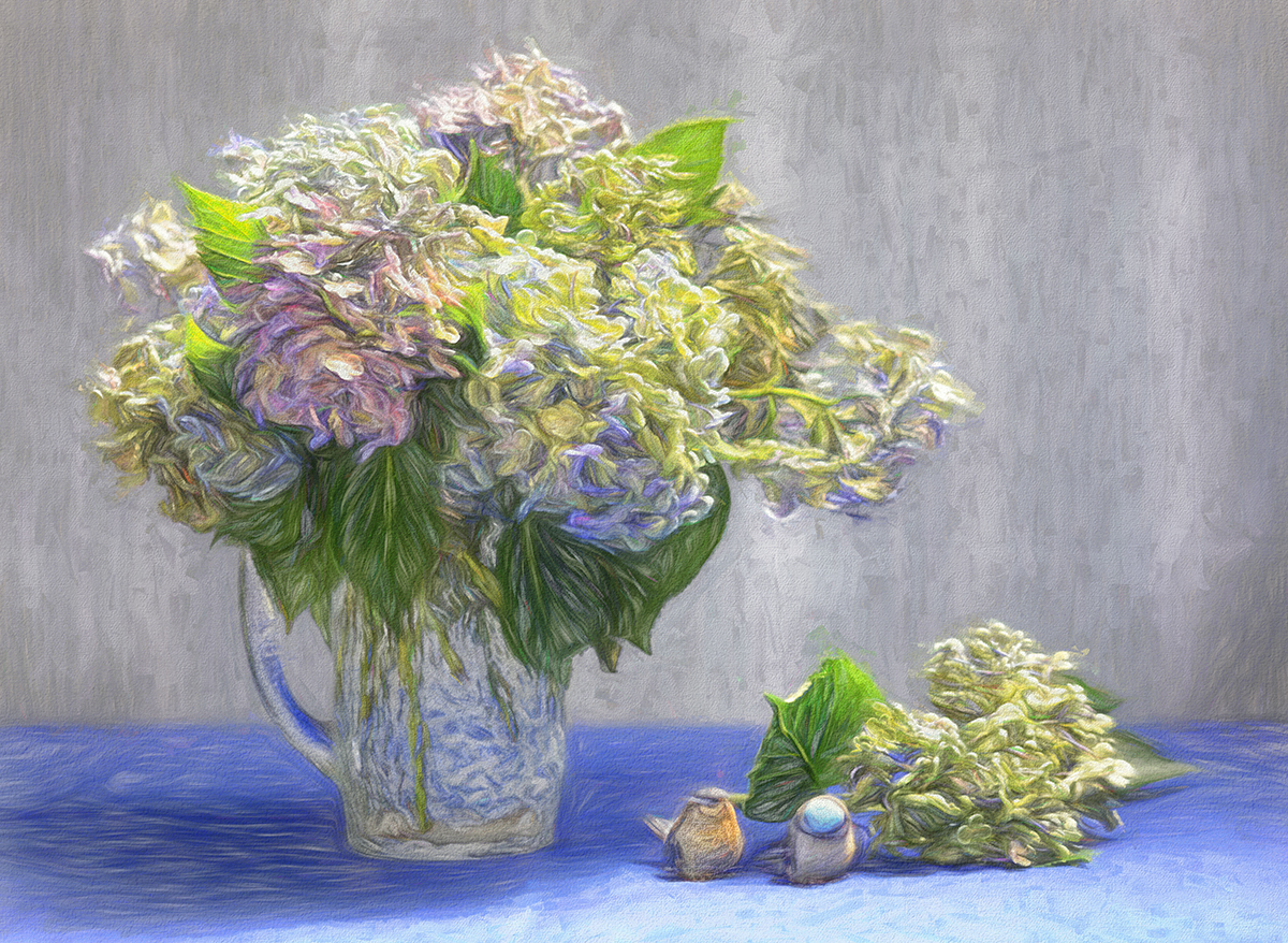 Hydrangeas in a Jug