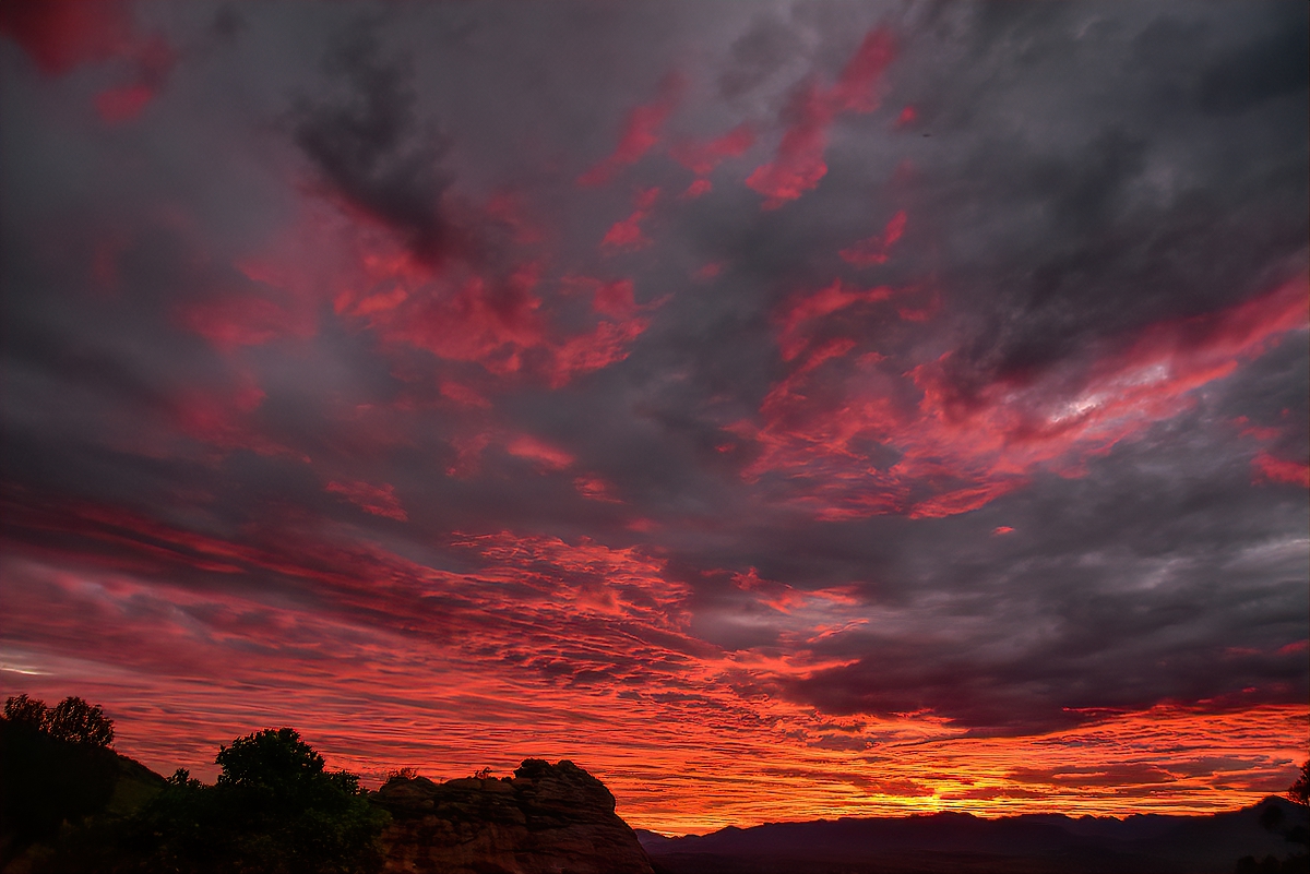 The sign of the skies