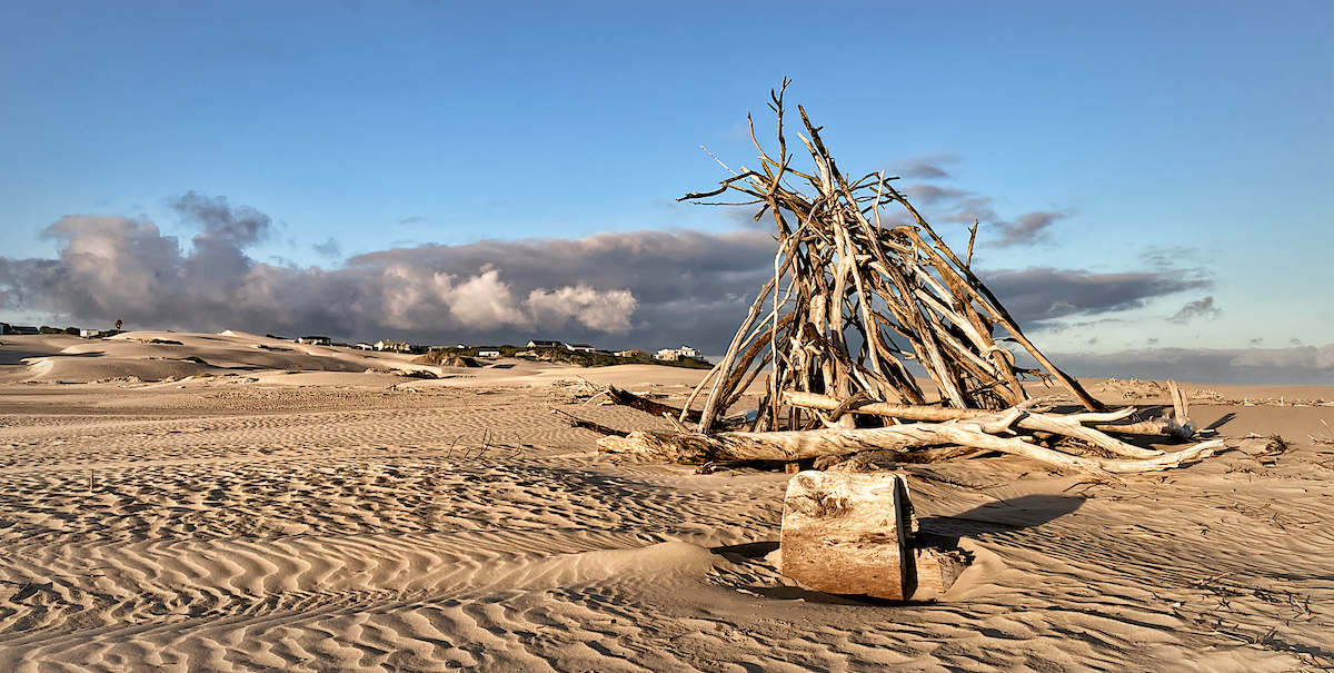 Driftwood Sculpture
