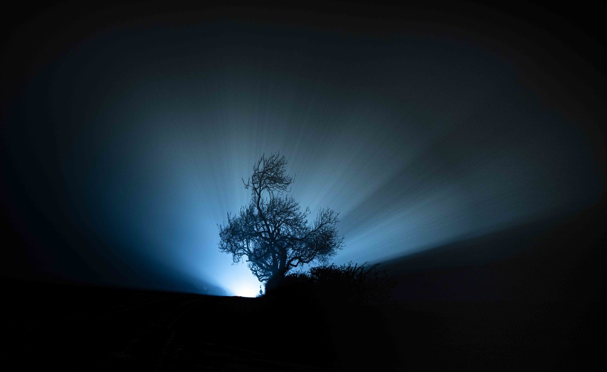 Lights