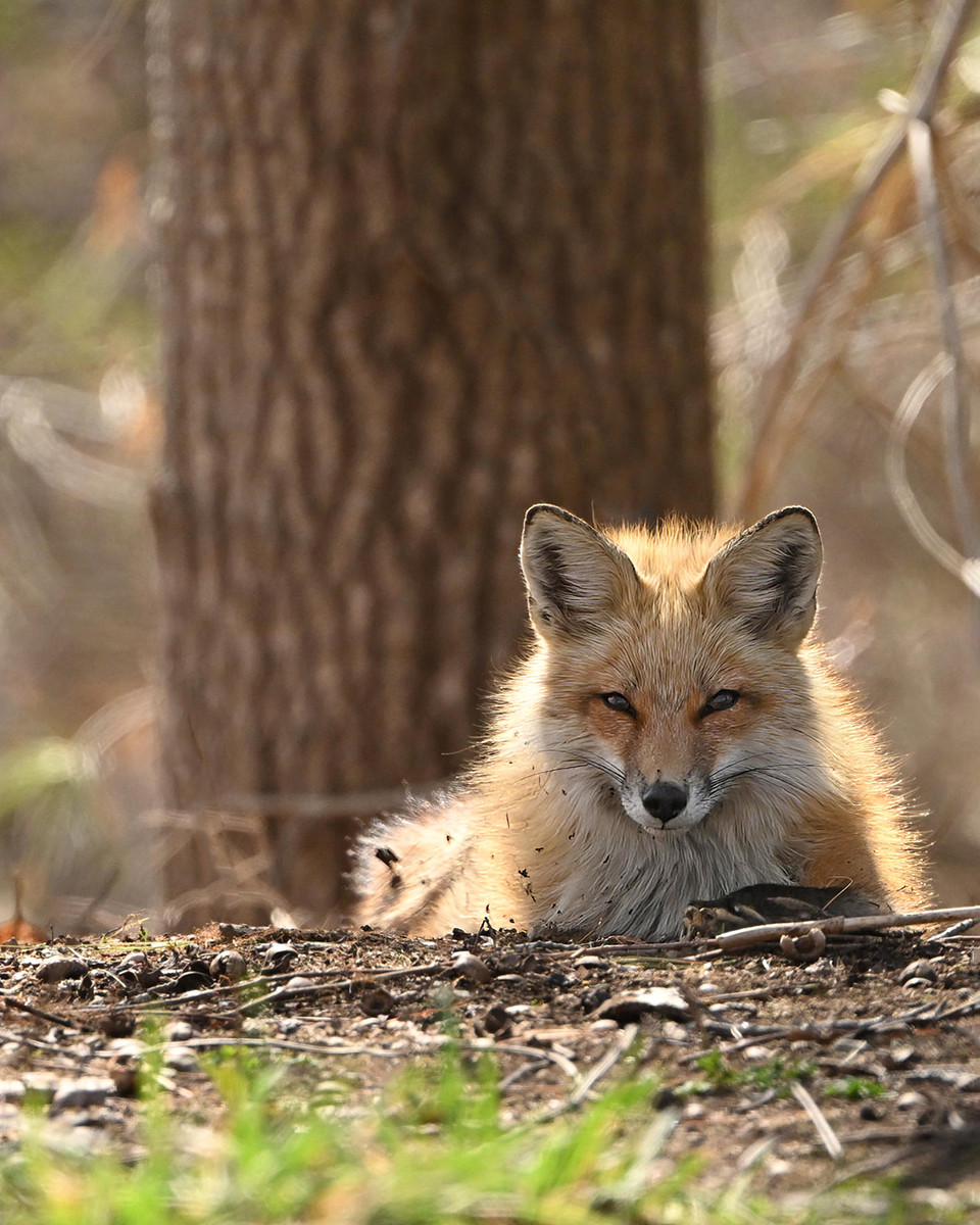 That I see you stare