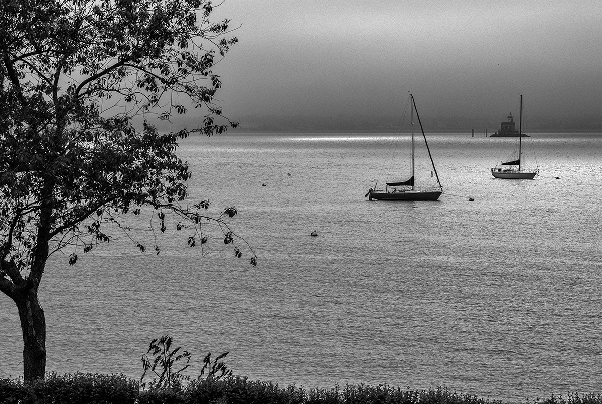 gray & still