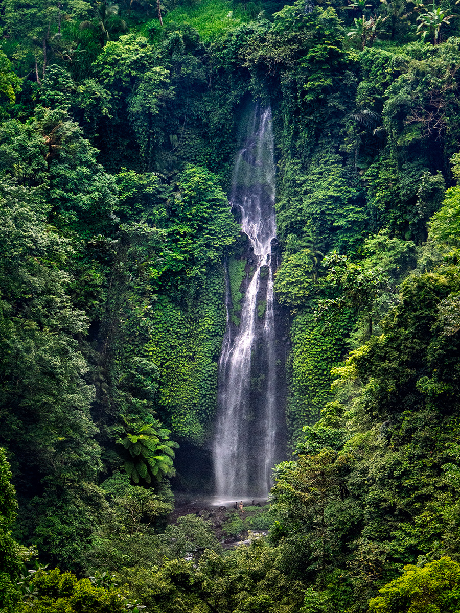 Waterfall in a jungle