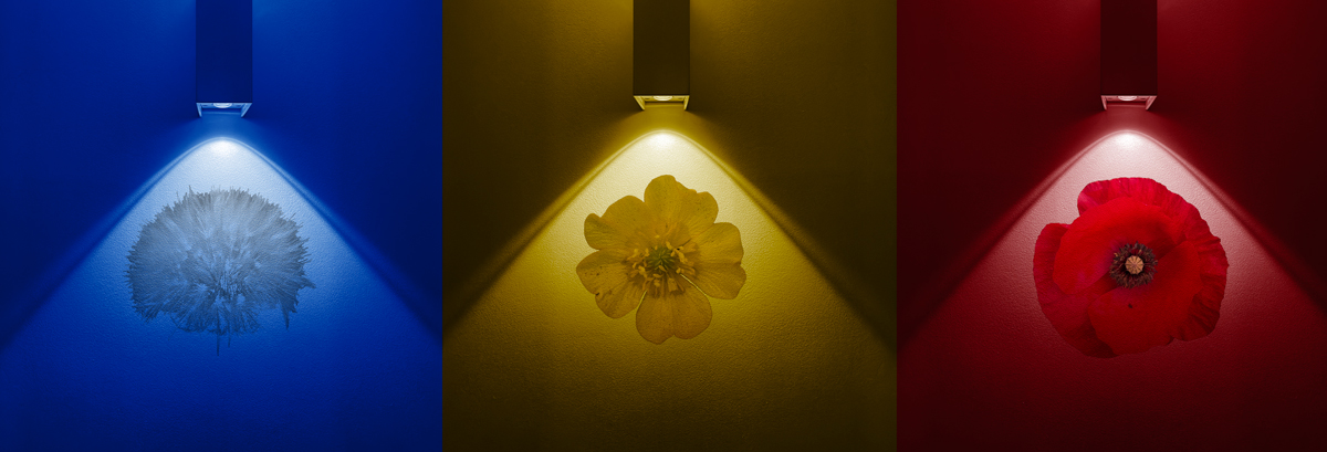 Light Triptych