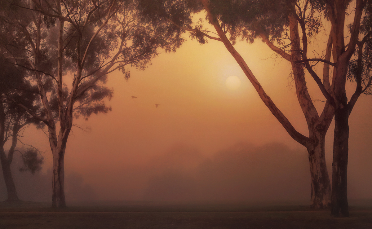 The magic of dawn