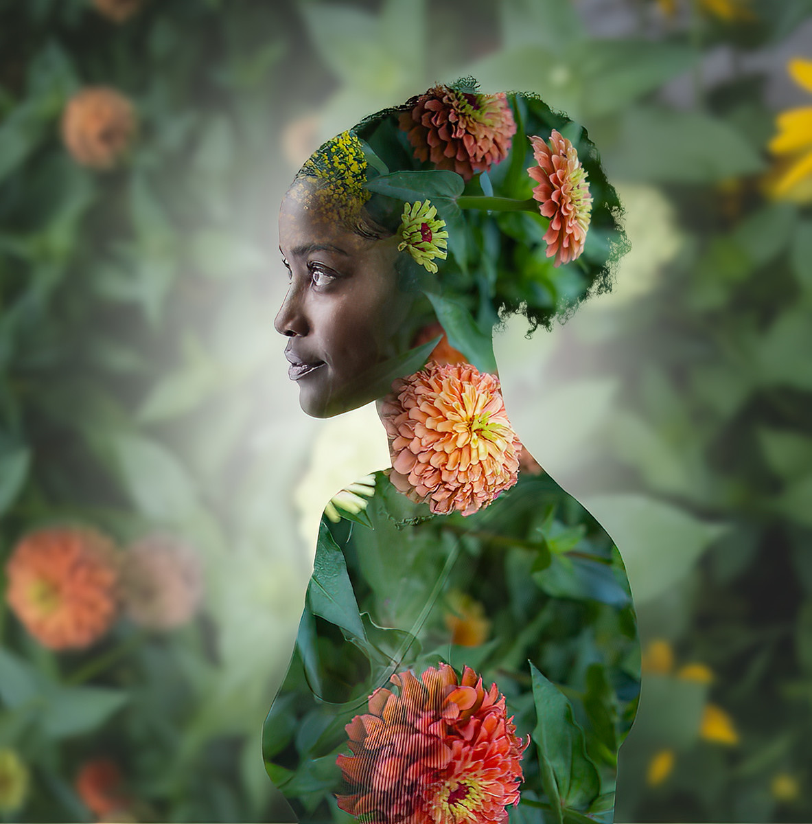 Bloom