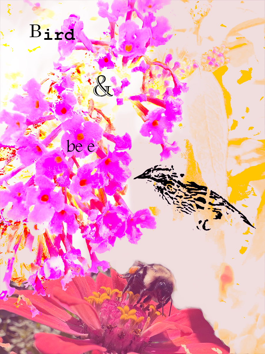 Bird & bee