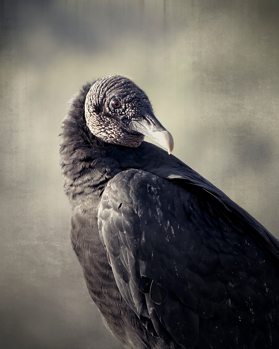 Scavenger