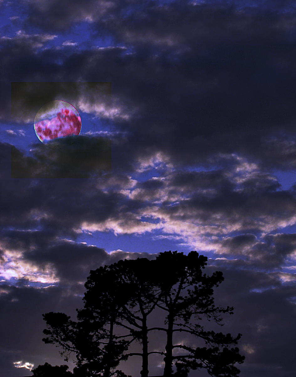 Supermoon Silhouette