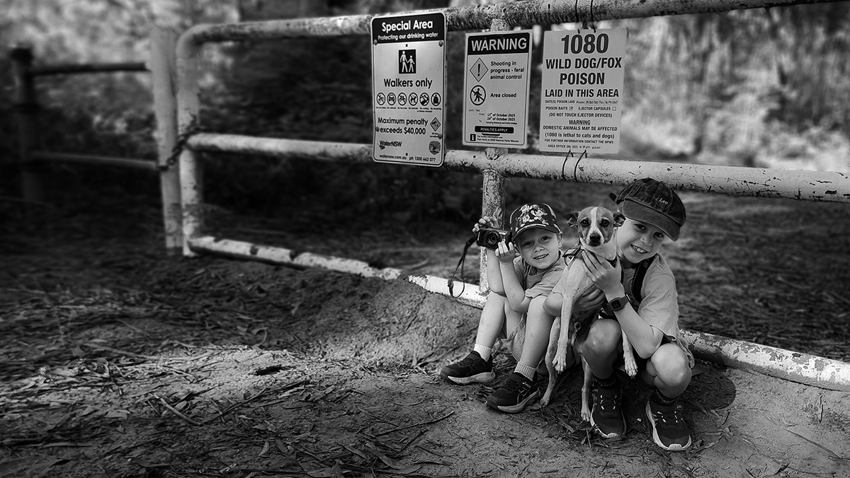 no entry to dogs