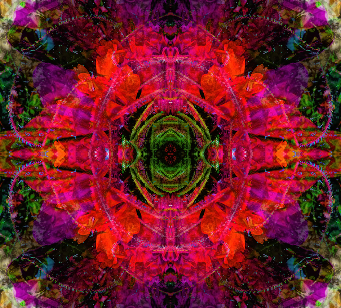 Playing in the Garden