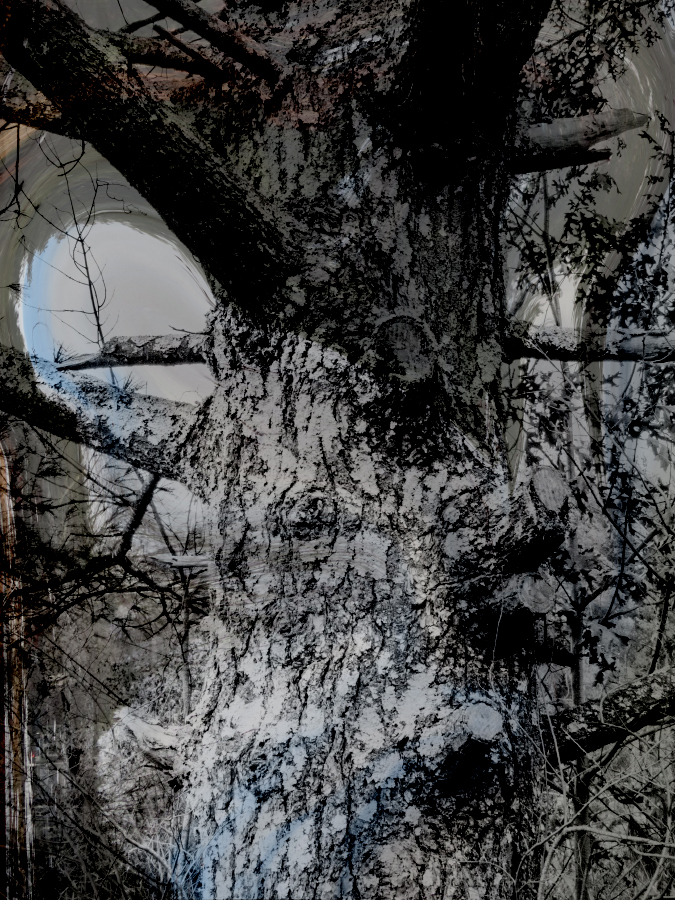 In Dismal Swamp
