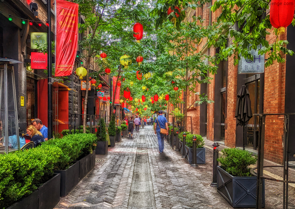 Lantern lane