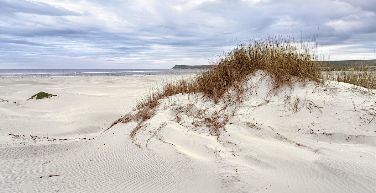 Dune and Seascape