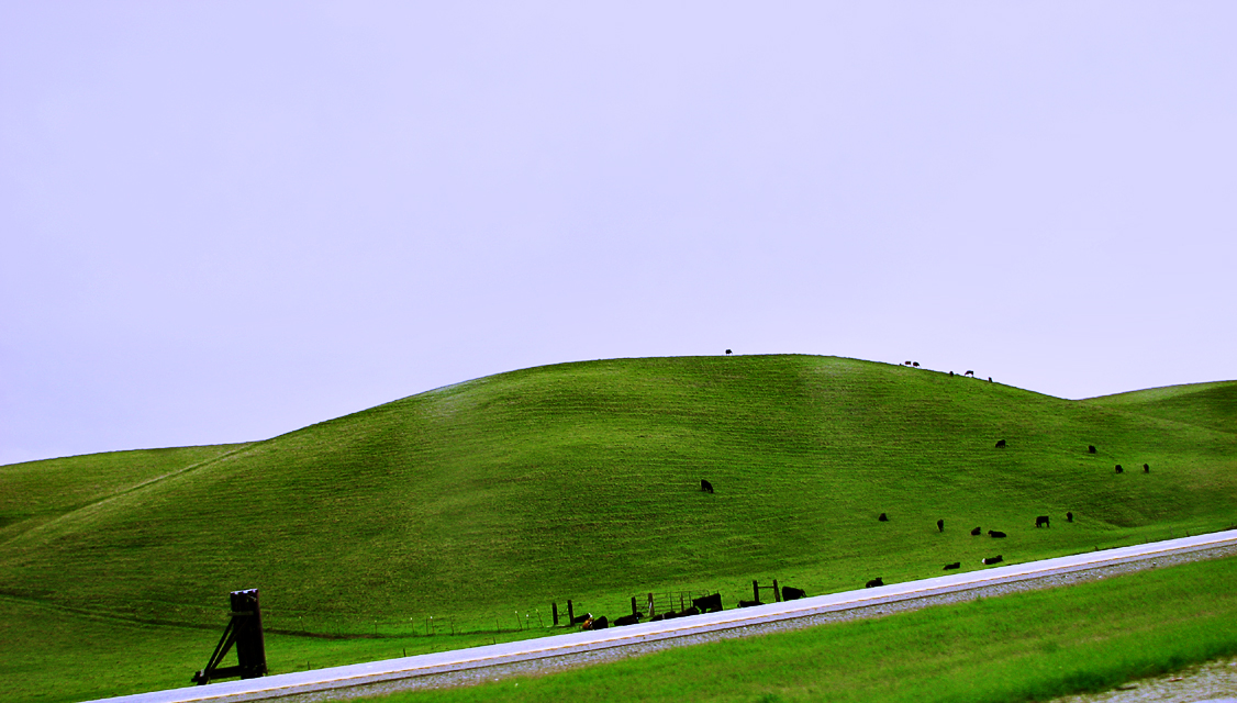 The Green Hills of Earth