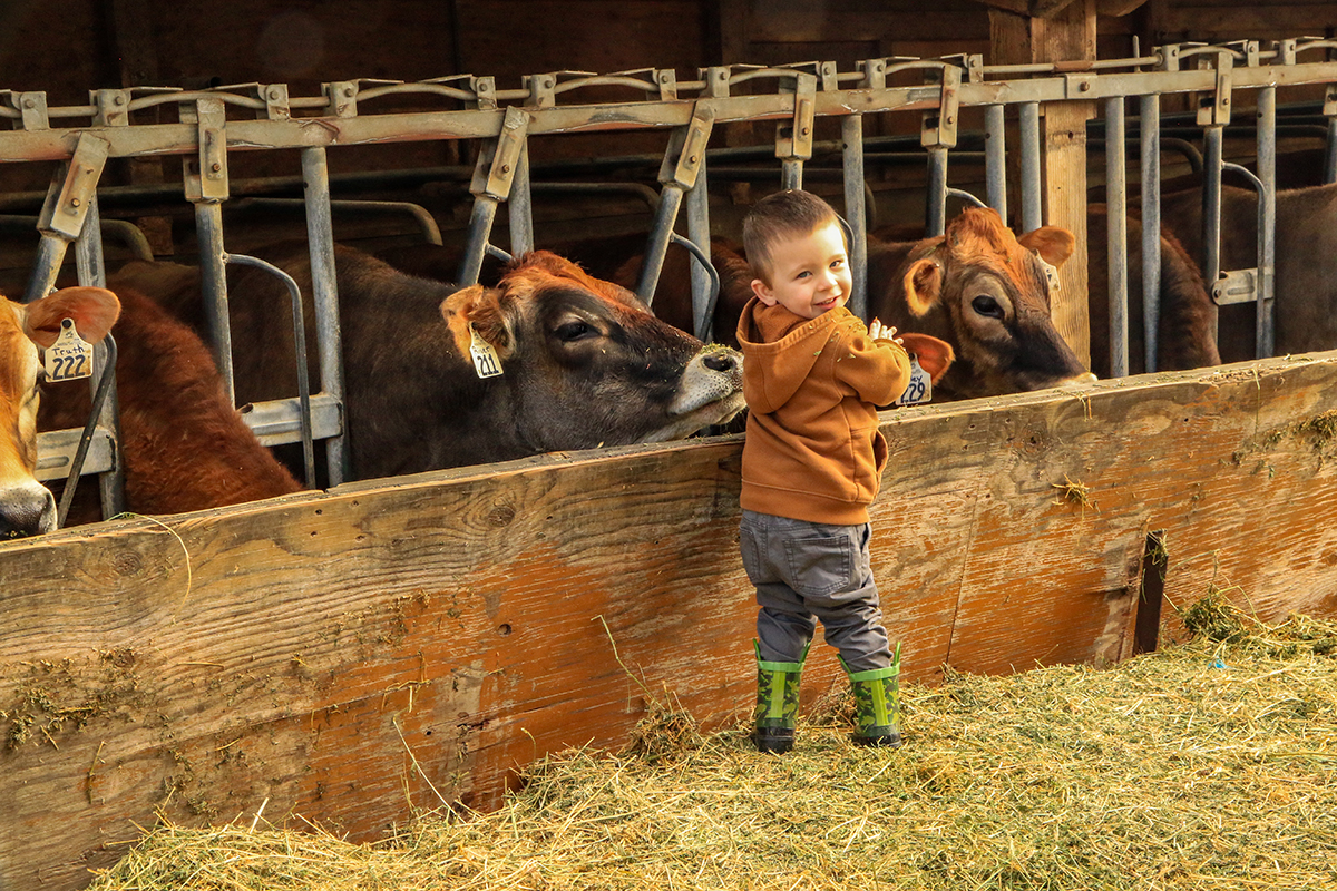 little cowboy