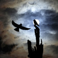 Spellbound